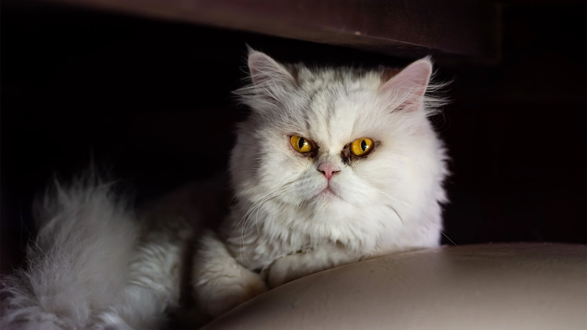 孤星长啸，群狼噬金，乔治绝境封神背后的开拓者全面压制哲学