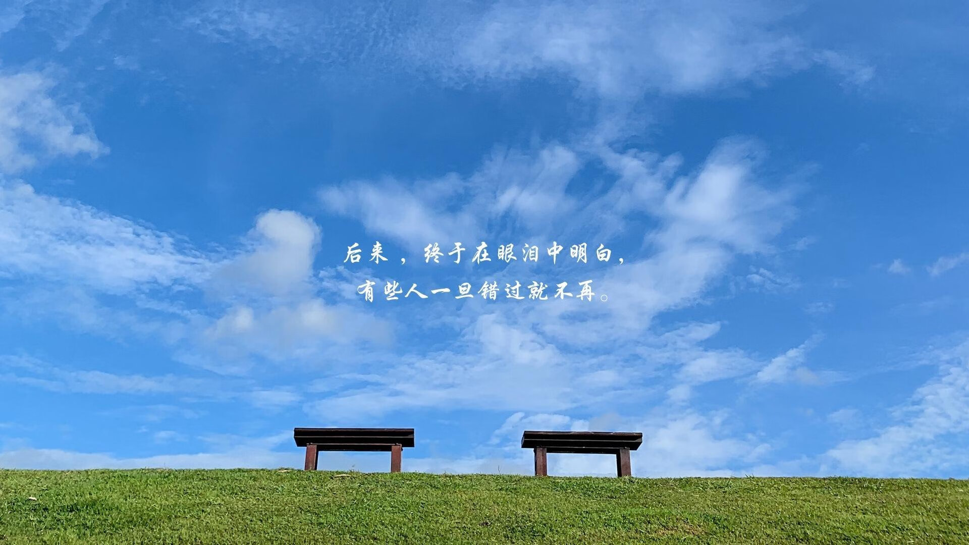 双城记，老鹰的团队风暴与字母哥的个人史诗