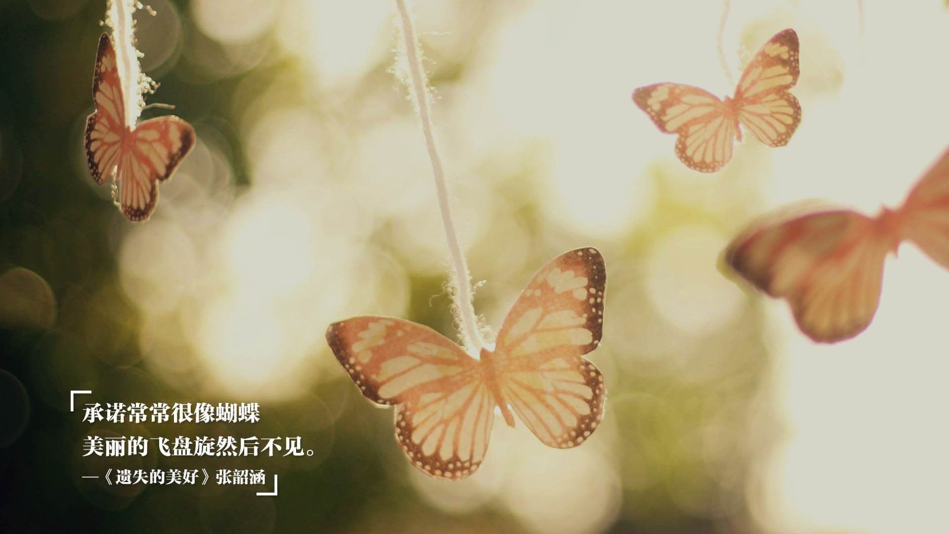 传奇夜，魔术逆转紫金军团，米切尔加冕奥兰多新王