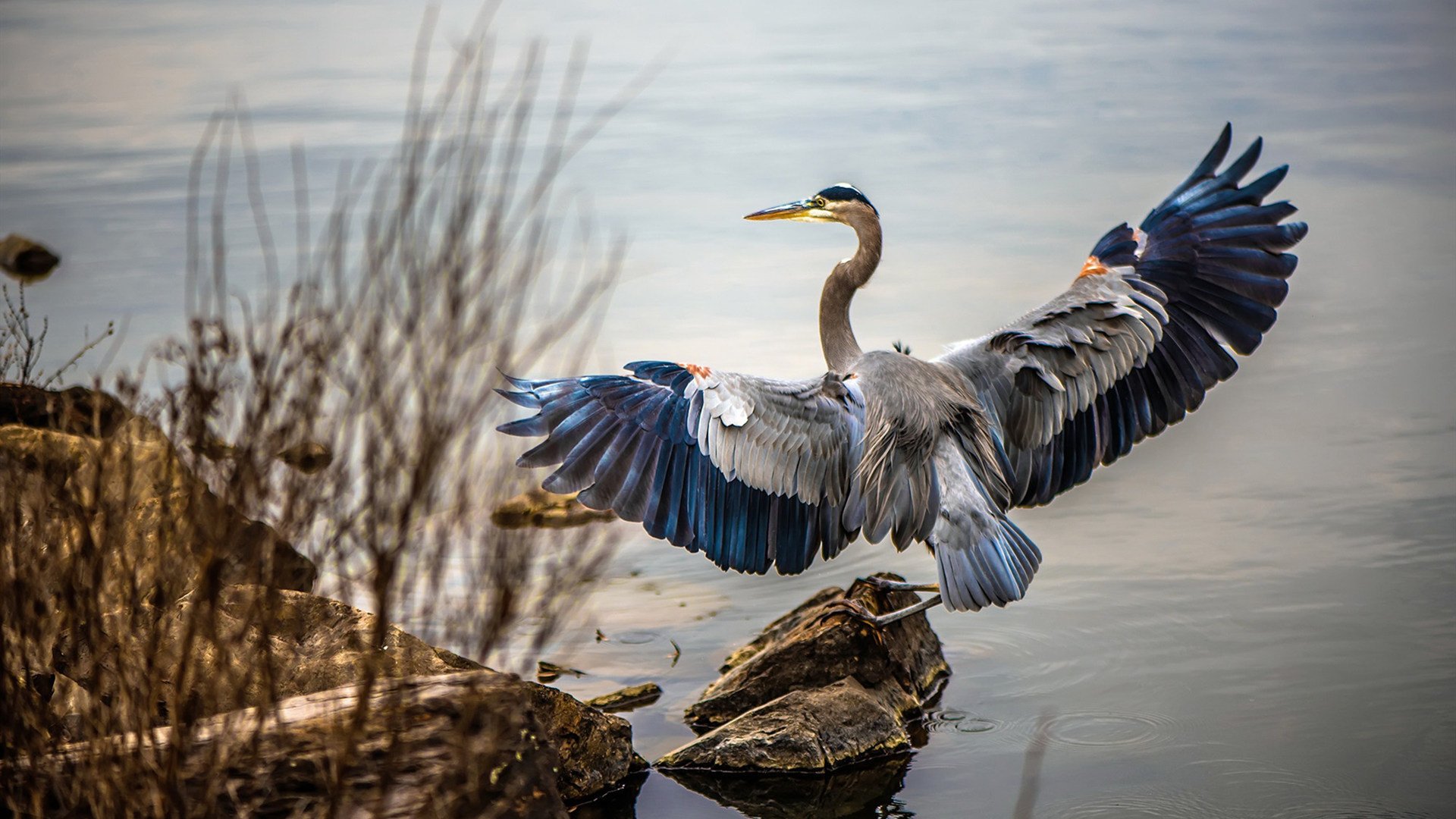 惊天逆转！勒沃库森翻盘马赛，幕后关键先生竟是皮克？