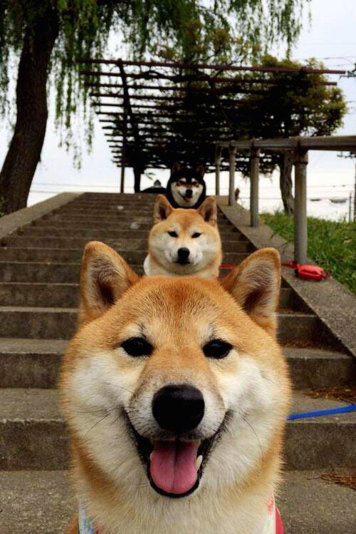 双线奇迹，爱尔兰终场逆袭西班牙，卢卡库独力擎天定英超乾坤