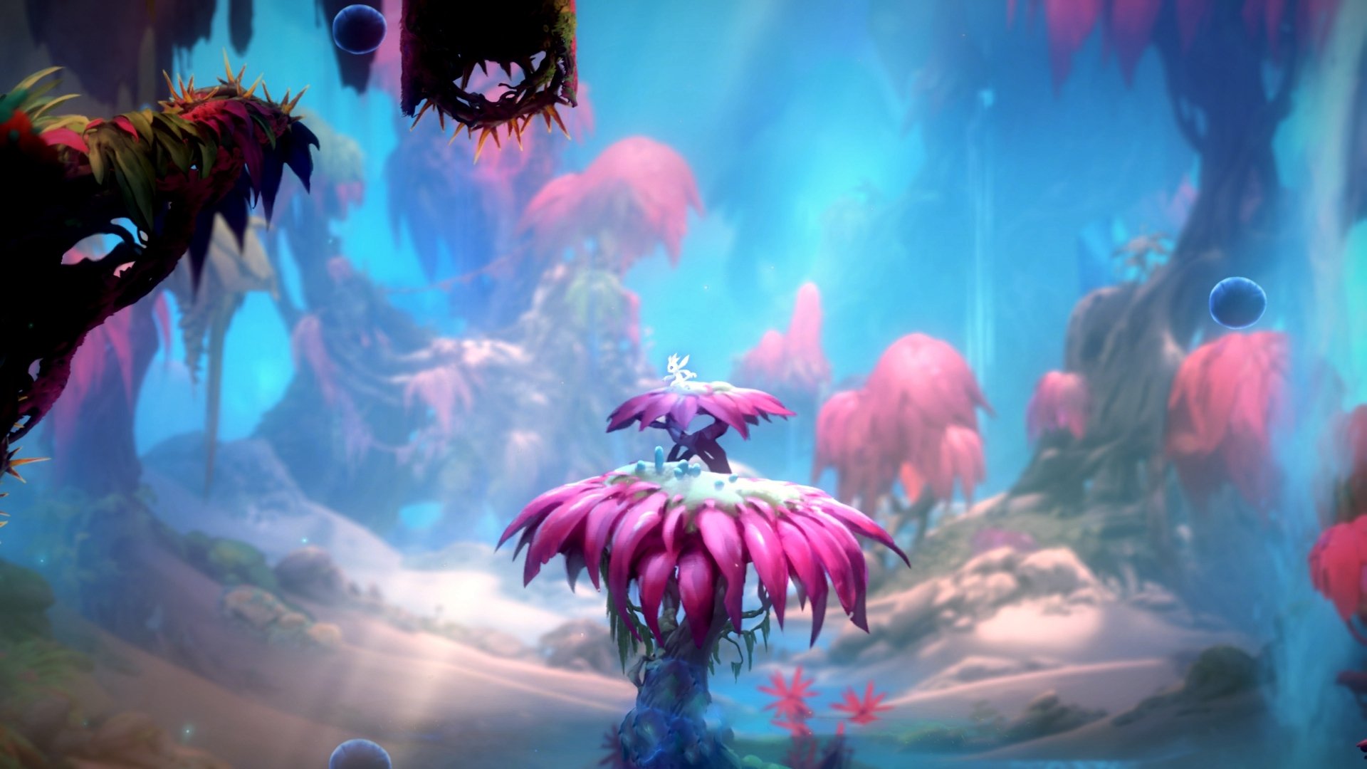 莱奥，阿根廷的引擎与心跳