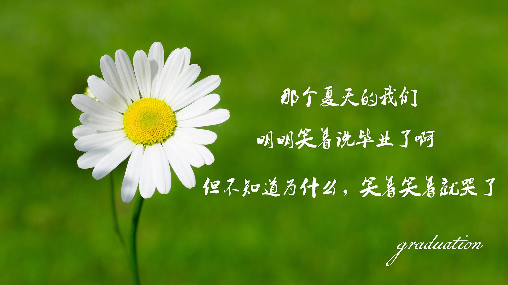 E组的唯一冷门,当黑马神话邂逅孤胆英雄,伊拉克风暴与费利克斯的封神之夜